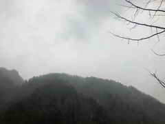 -肯德基(秦岭服务区店)