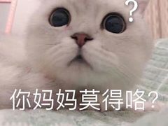 -华西村