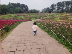 -保利石象湖景区