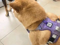 -美迦爱-牙专科·兔科·骨科诊疗中心(北苑店)