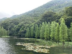 景点-广州市石门国家森林公园