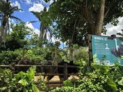 -海南热带野生动植物园