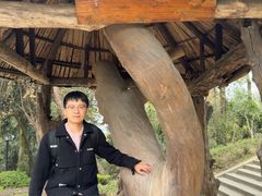 -窦圌山风景区