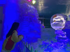 -世界之窗阿尔卑斯冰雪世界