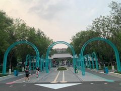 -张店儿童公园