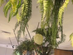 -三个椰子·现砍椰子鸡(金源CBD店)