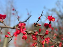 -郫都区农科村景区
