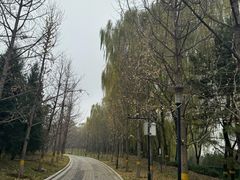 -护国天仙圣母庙