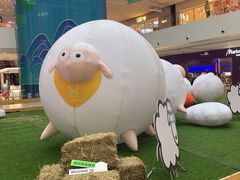 -阳光天地