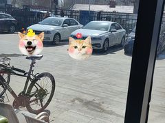 -北京派仕佳德动物医院·超导核磁·CT·神经科·骨科·内外科·急重症管理中心