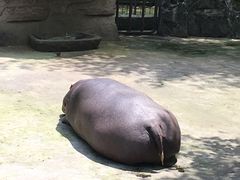 -重庆动物园·东二门售票处