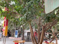 -光明刘冰乳鸽店(光明法政北路店)