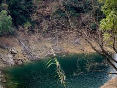-千岛湖东南湖区