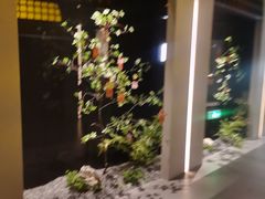 -隐溪茶馆(金虹桥店)