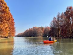 -上海海湾国家森林公园