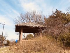 -宝界山林公园