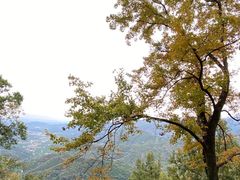 -广州市石门国家森林公园