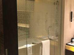 -芽庄喜来登水疗酒店