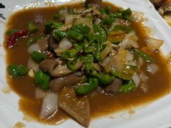 -喀什骑仕大观园