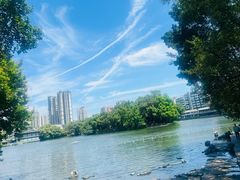 -荔湾湖公园