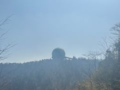 -北仑森林植物园