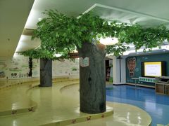 -深圳少年儿童图书馆