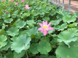 -大望京儿童游乐场