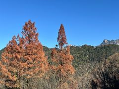 -九华山风景区