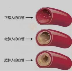 -Fundi张玉珊修身堂·indiba·BTL科技瘦身