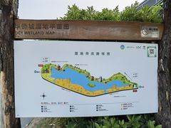 -华侨城湿地公园