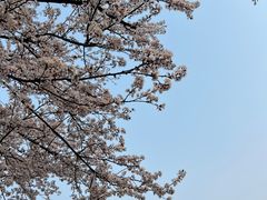 -龙头寺公园