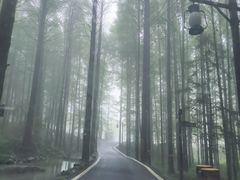 -山王坪喀斯特国家生态公园