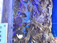 -澜悦港海鲜体验主题餐厅