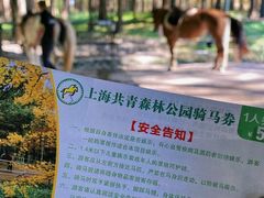 -上海共青森林公园