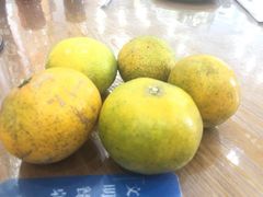 -洲晓鲜·舟山海鲜大排档(朱家尖风景区店)