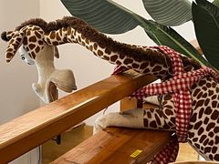 -长颈鹿咖啡(大学路店)