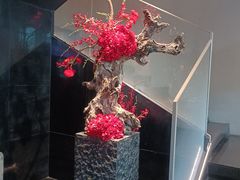 -锦府园(环球港店)