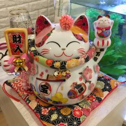 -Yukina Plus专业日式美肌