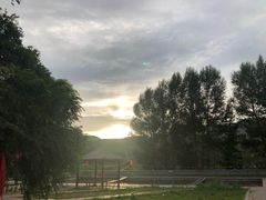 -朝阳公园游乐园