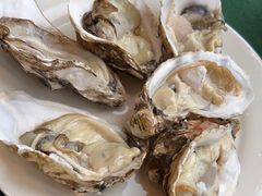 现捞贝类-火舞泰·泰式海鲜火锅餐厅(世纪城店)