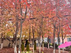 -辽宁大学(崇山校区)