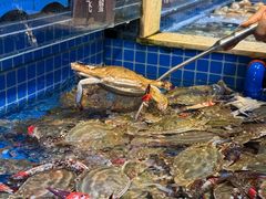 -乔哥铭洋海鲜自助(皇城恒隆广场店)