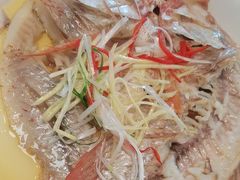 -东方饺子王(工农大路店)