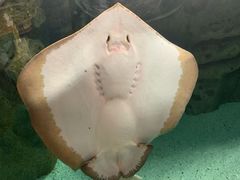 -珠海长隆海洋王国