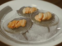 海胆刺身-小十料理(新城店)