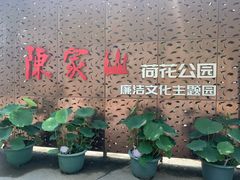 -陈家山荷花公园