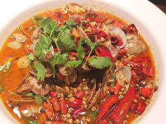 -老板恋上鱼(高新万达店)