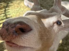 -水上乐园·欢乐世界