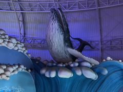 -烟台海昌鲸鲨海洋公园