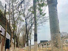 -大连凯洋马术俱乐部有限公司